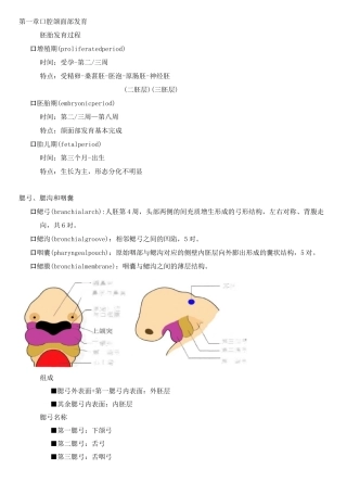 3 面部发育