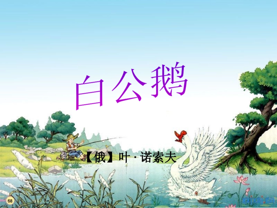 白公鹅课件PPT版_第1页