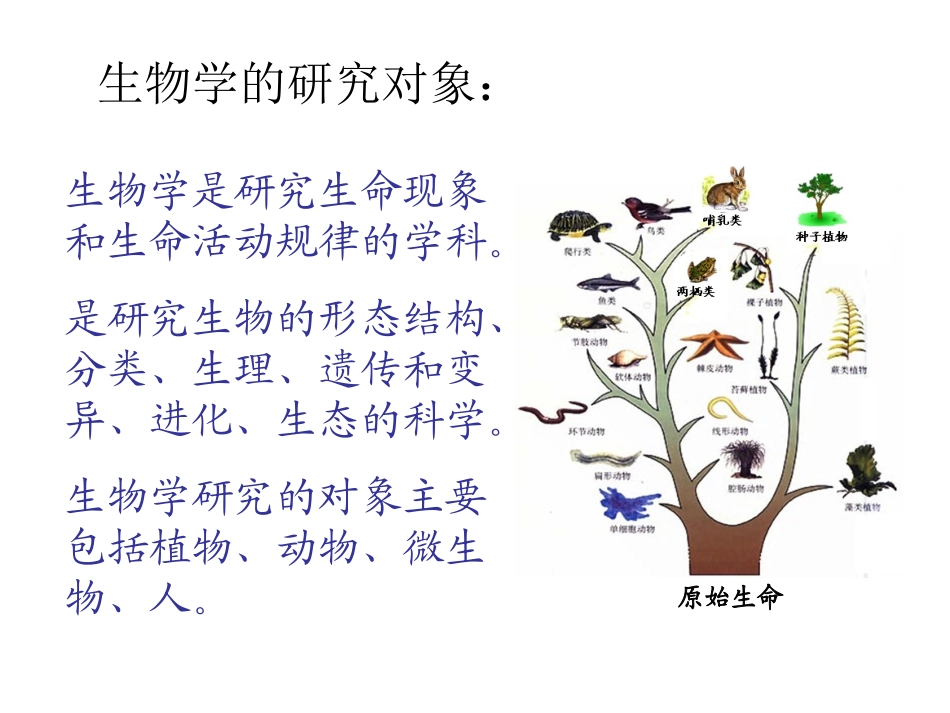 生物的基本特征 (2)_第1页