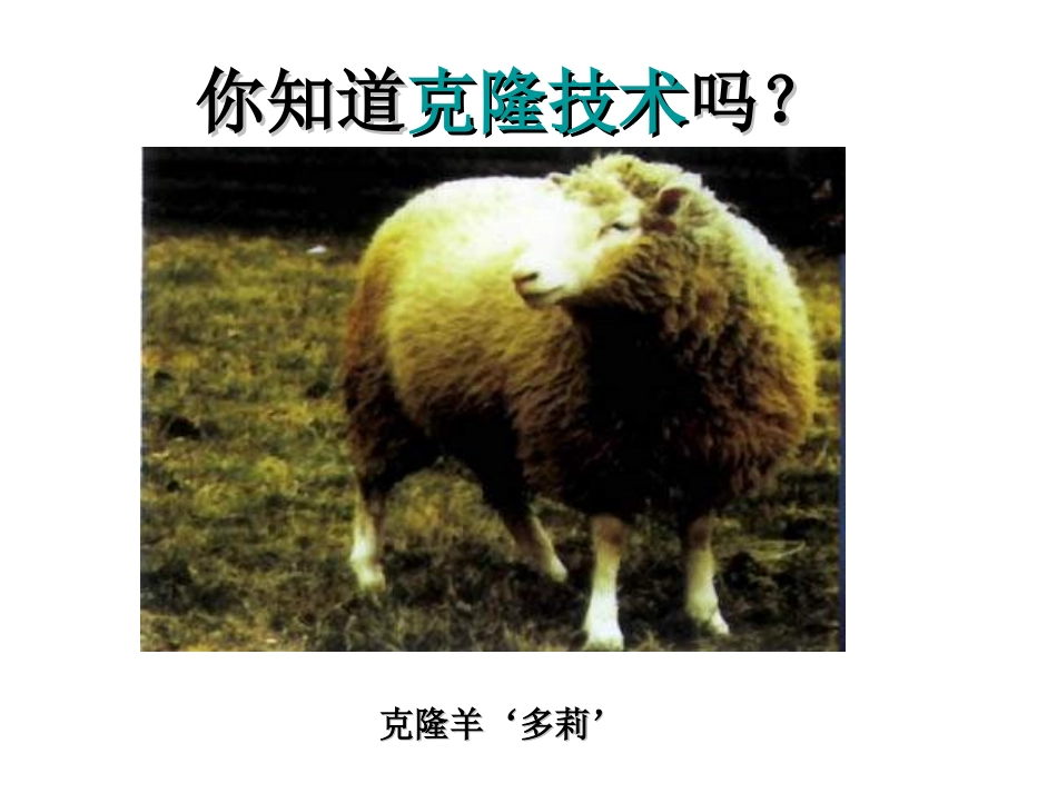 生物的基本特征 (2)_第3页