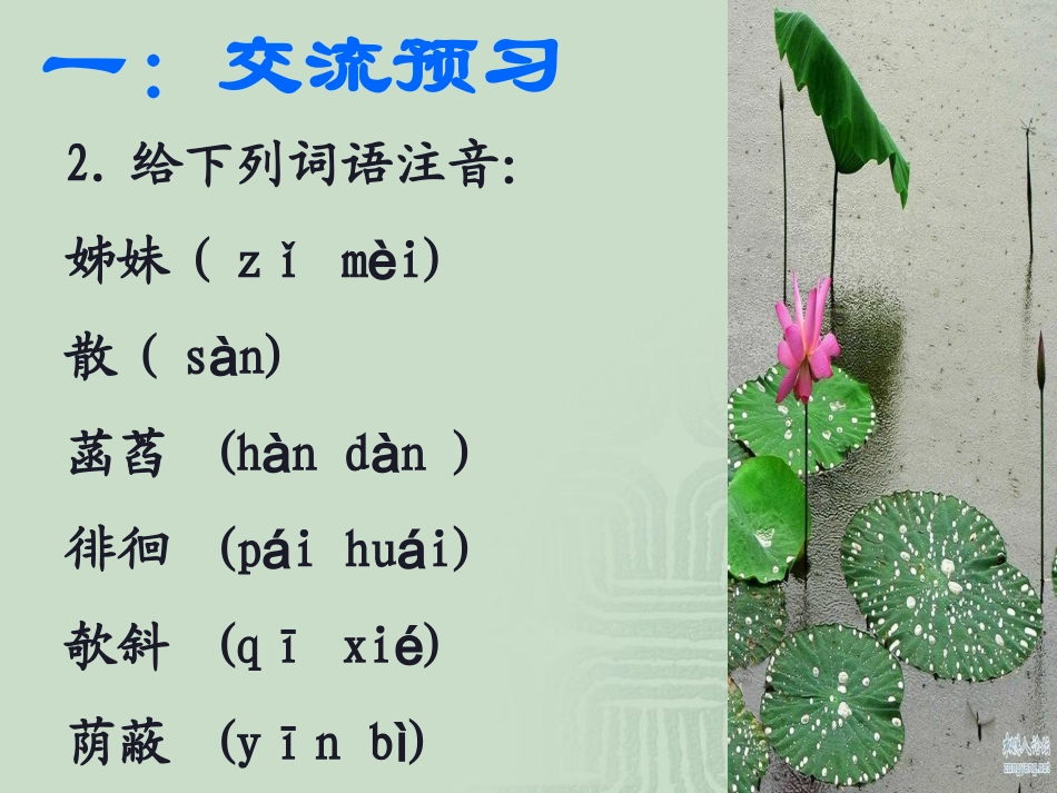 《荷叶母亲》课件_第3页