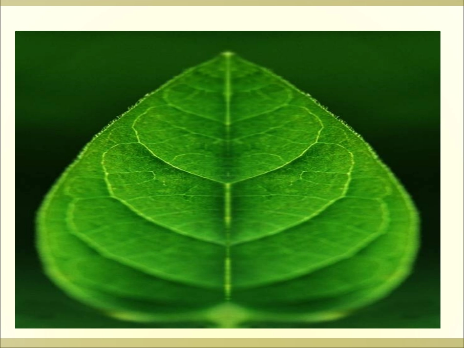 《轴对称》课件_第3页