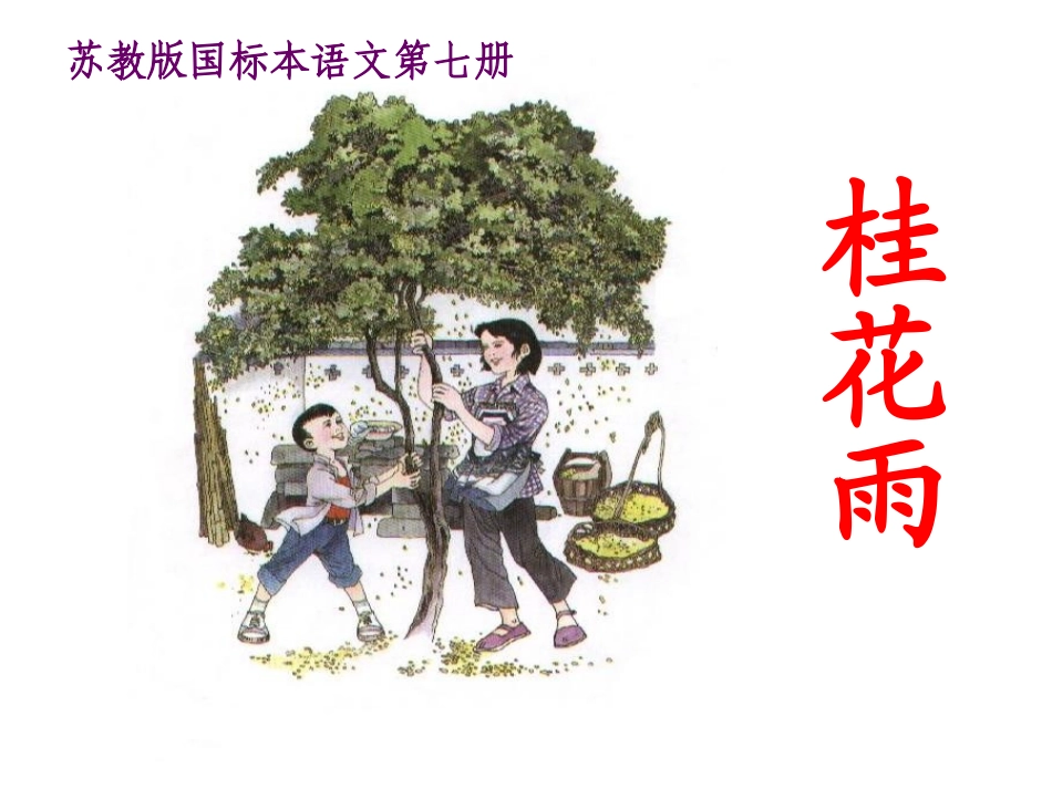 苏教版国标本语文第七册《桂花雨》课件_第1页