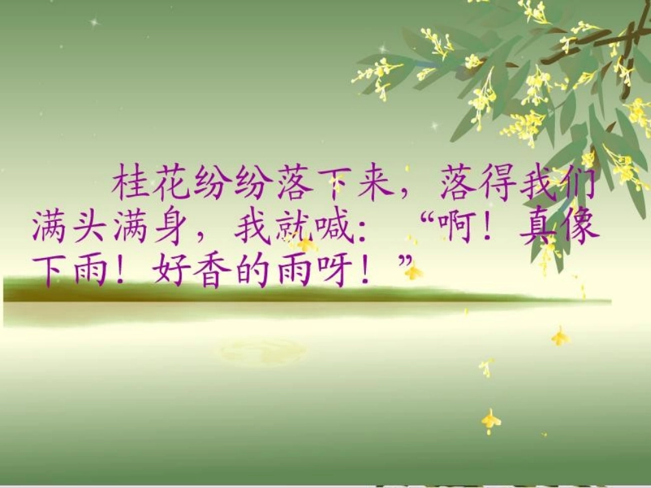 苏教版国标本语文第七册《桂花雨》课件_第3页