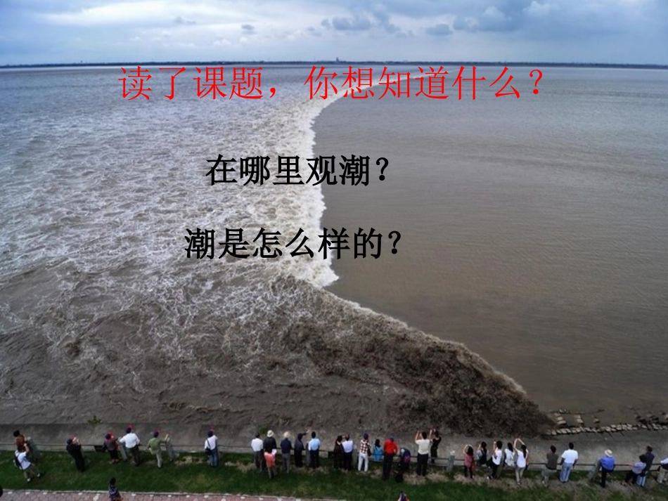 四年级上·1、《观潮》_第2页