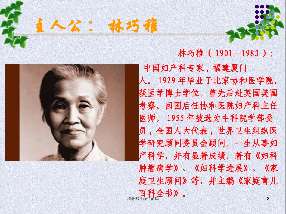 四年级上册：树叶都是绿色的吗_第2页