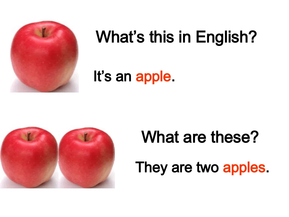 语法专项课件：名词变复数_第2页