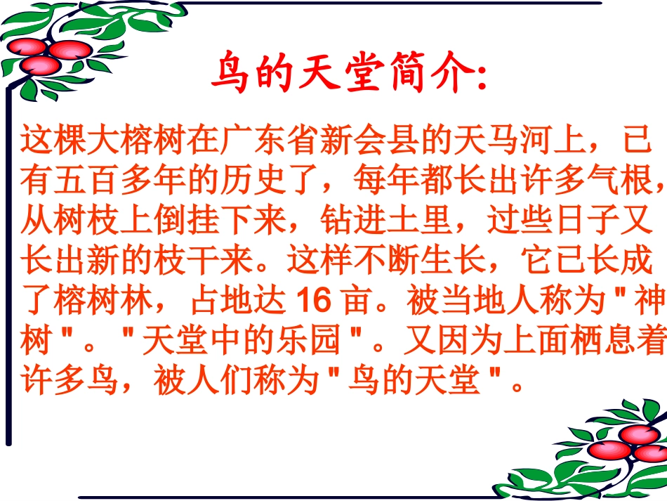 鸟的天堂课件_第2页