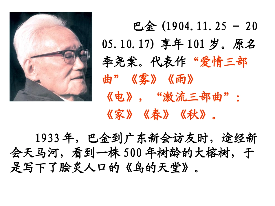 鸟的天堂课件_第3页