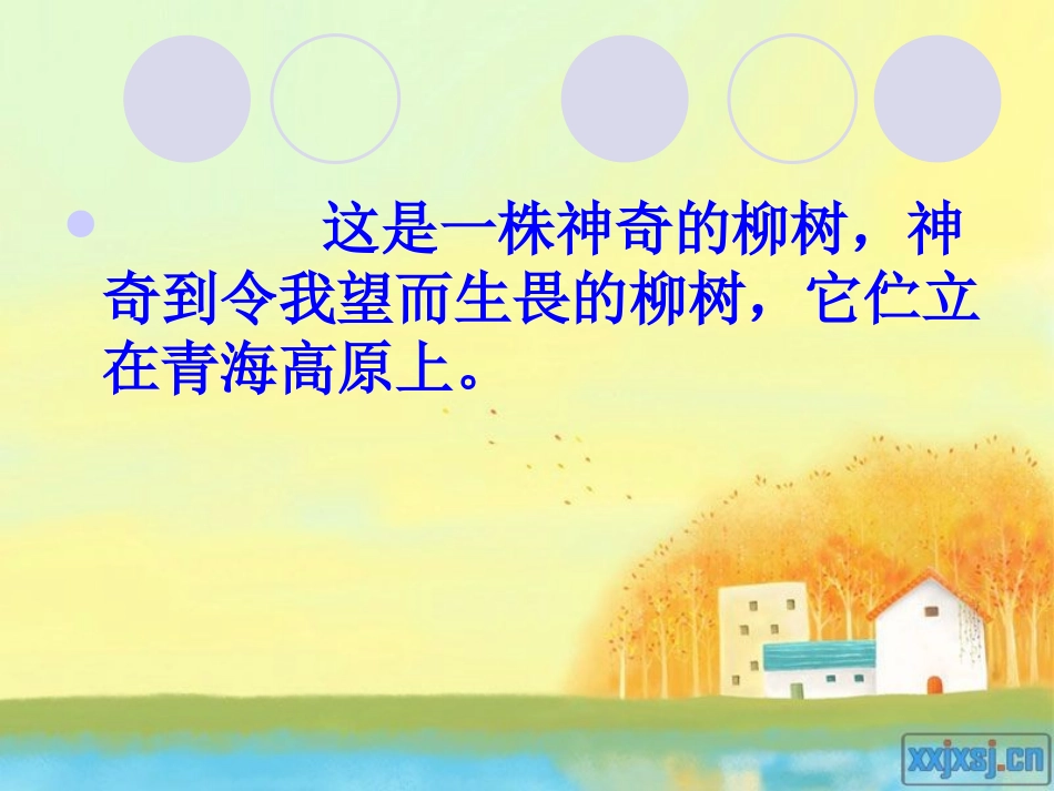 青海高原一株柳_第3页