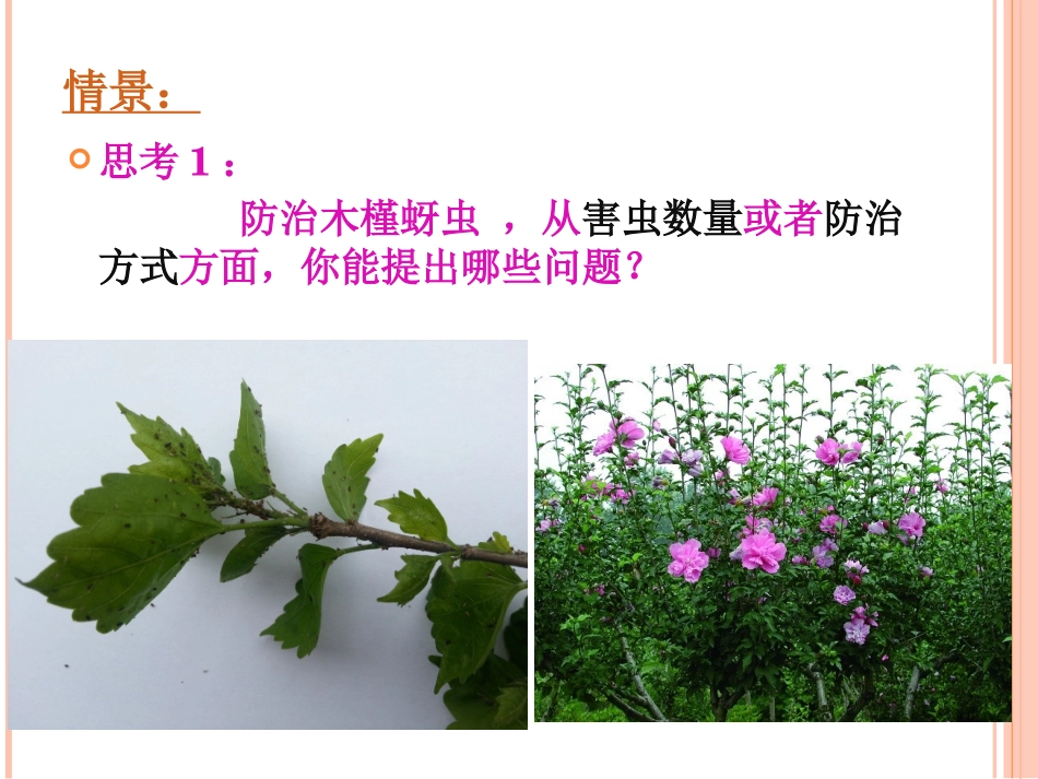 第二节种群的增长方式（上课）_第2页