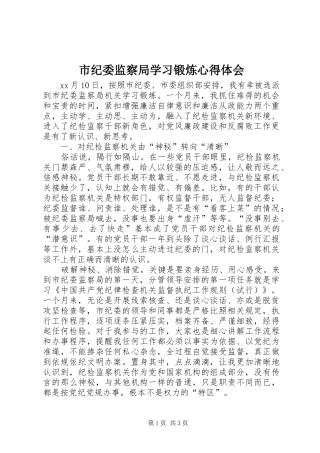 市纪委监察局学习锻炼心得体会