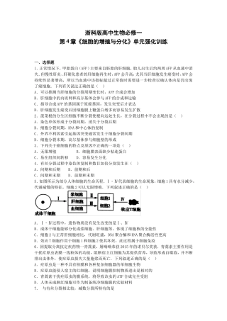 浙科版高中生物必修一第4章《细胞的增殖与分化》单元强化训练