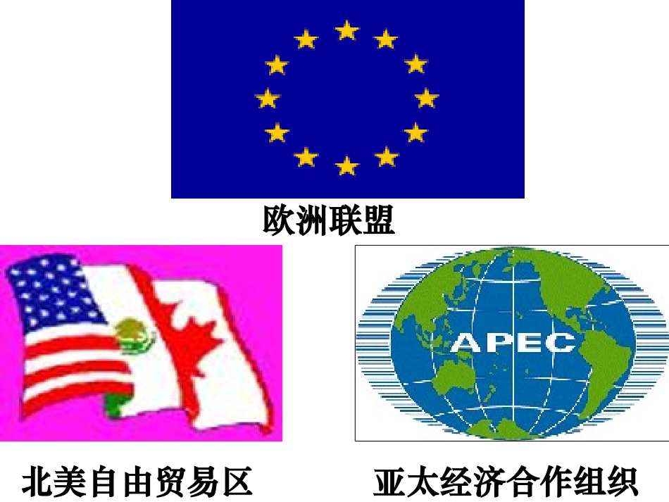 区域集团化（新）_第3页