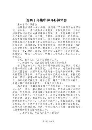 巡察干部集中学习心得体会