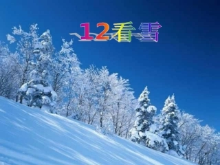 看雪PPT课件副本