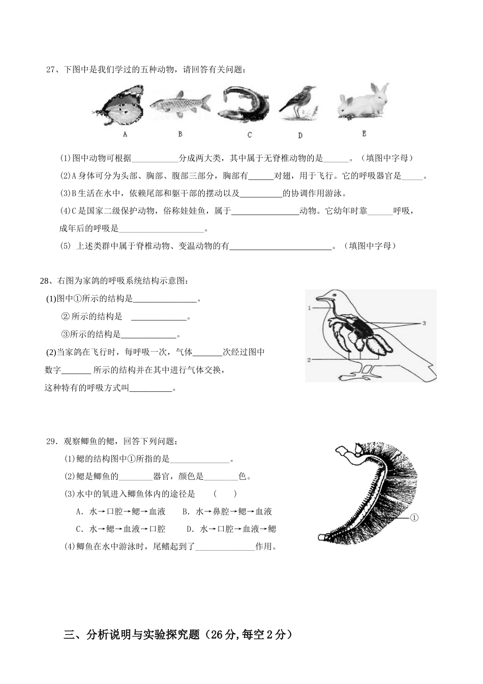 生物初二月考_第3页