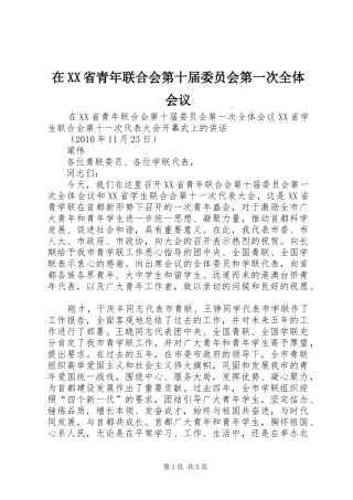 在XX省青年联合会第十届委员会第一次全体会议