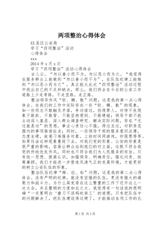 两项整治心得体会