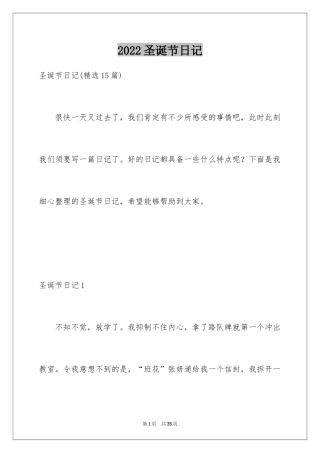 2024圣诞节日记_49