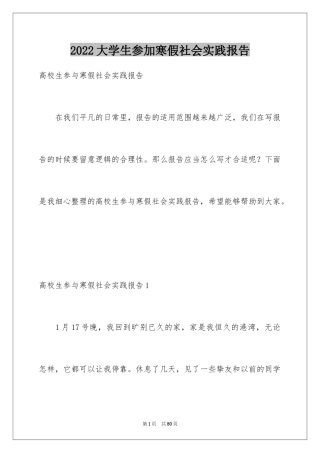 2024大学生参加寒假社会实践报告