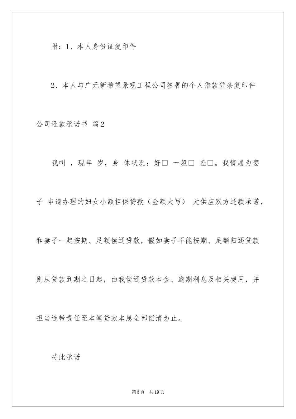 2024公司还款承诺书_24_第3页