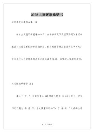 2024共同还款承诺书_32