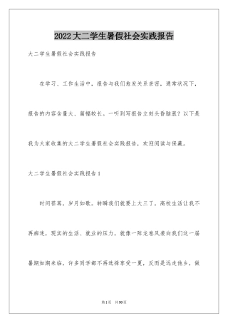 2024大二学生暑假社会实践报告_1