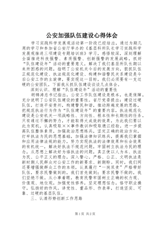 公安加强队伍建设心得体会