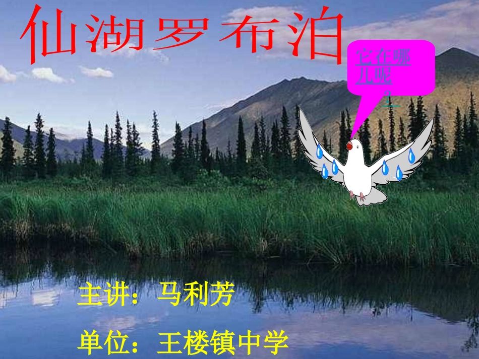 《罗布泊，消失的仙湖》_第1页