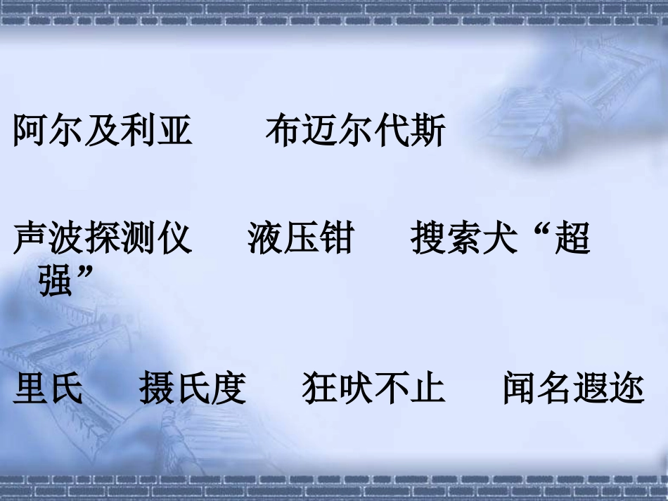 中国国际救援队_真棒!_第2页