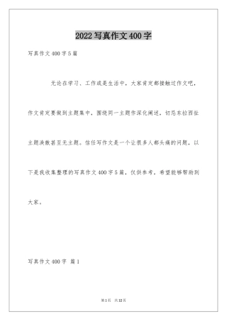 2024写真作文400字