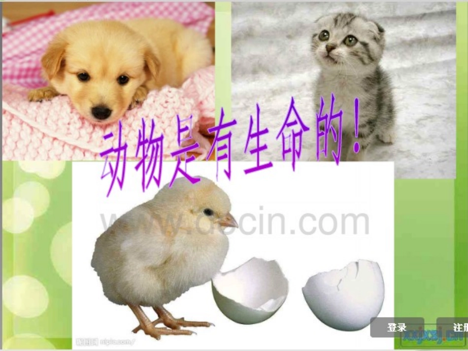 植物新生命的开始_第3页