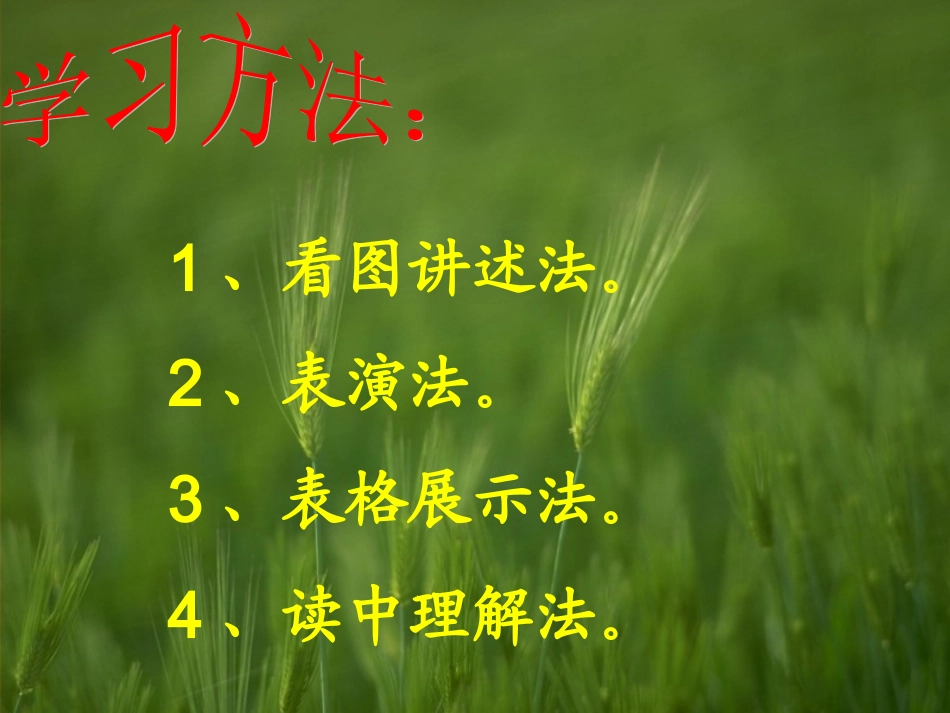 课件《林中的乐队》_第2页