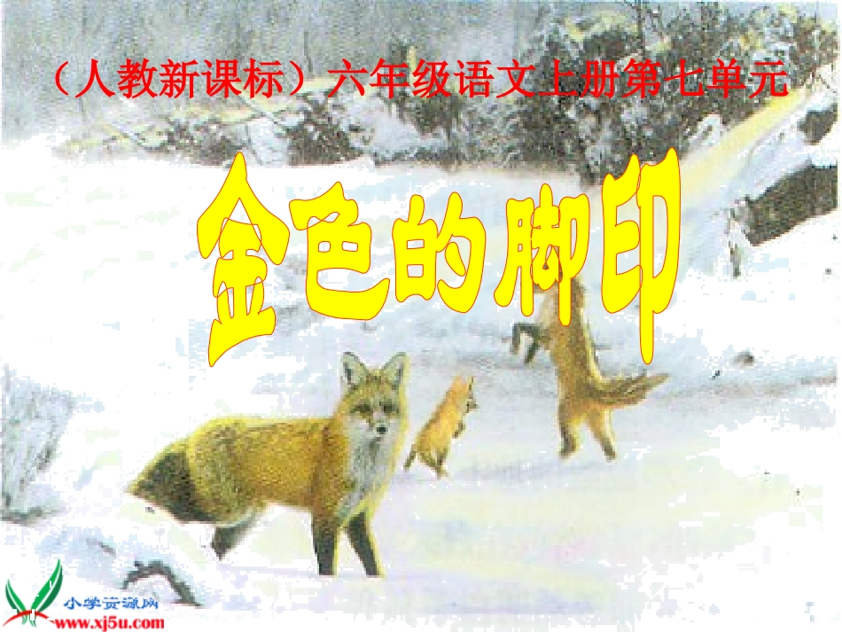 人教新课标六年级语文上册《金色的脚印_5》PPT课件_第1页