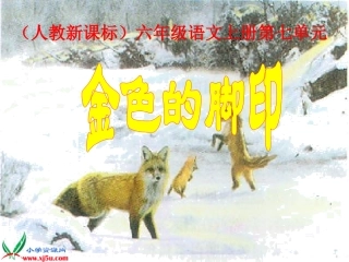 人教新课标六年级语文上册《金色的脚印_5》PPT课件