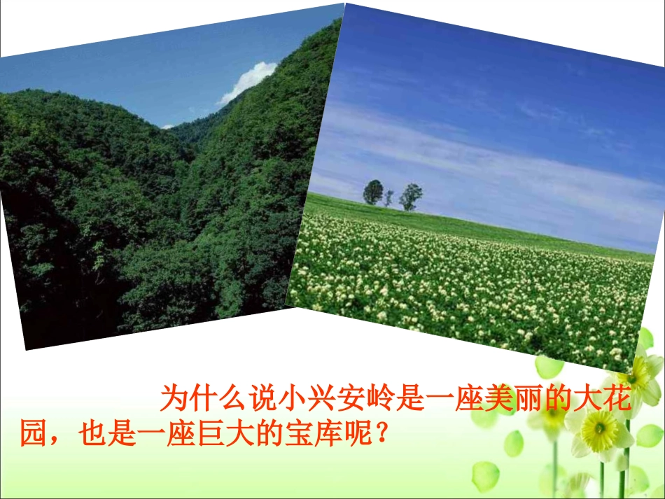 《美丽的小兴安岭》教学课件2_第2页