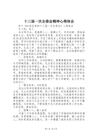 十三届一次全委会精神心得体会