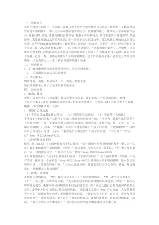 小班科学活动《鸡蛋和鸭蛋》