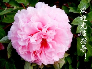 罗布泊，消失的仙湖