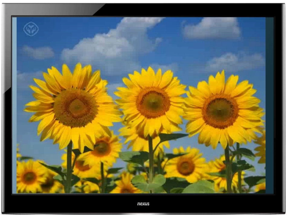 圆的认识正式版_第1页