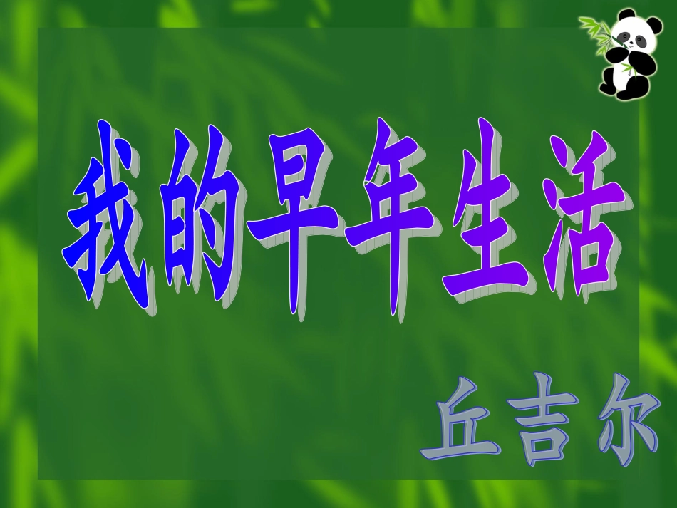 我的早年生活_课件_第3页
