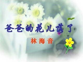 爸爸的花儿落了 (3)