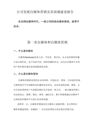 发展自媒体营销报告