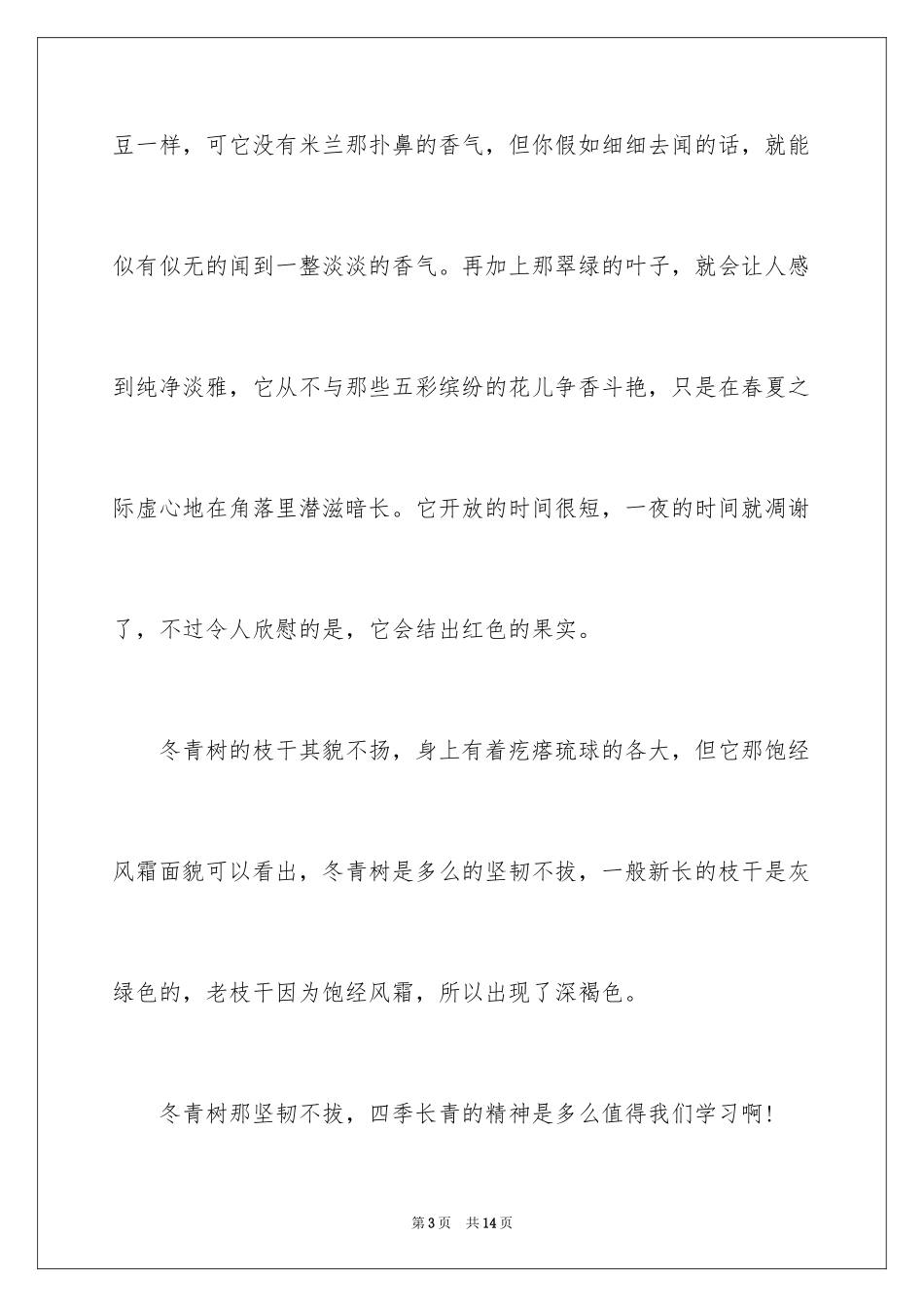 2024写冬青的作文_43_第3页