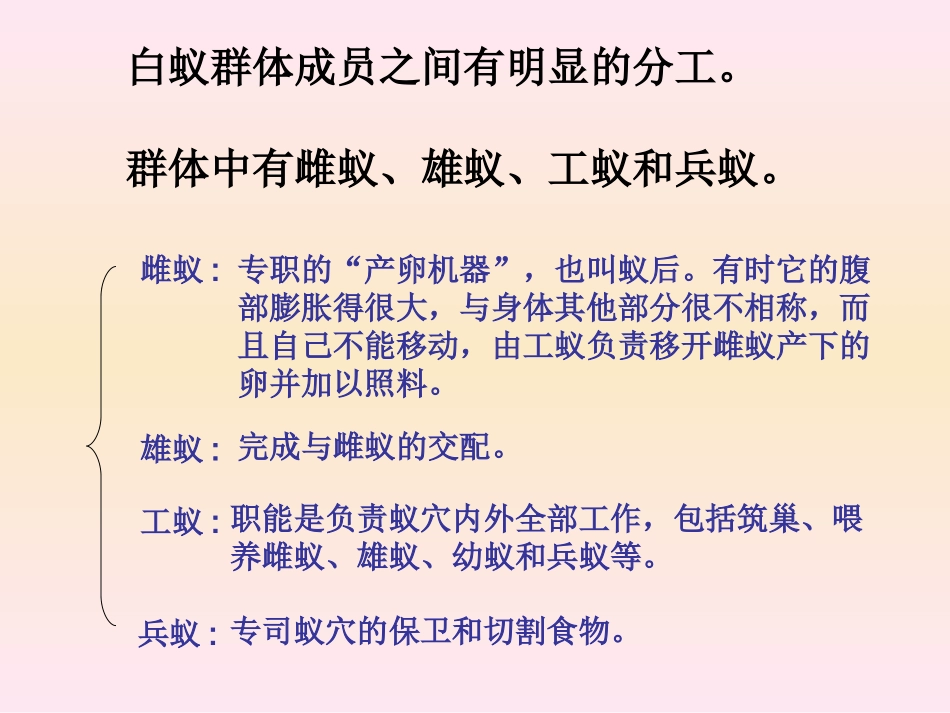 动物的社会行为_第3页