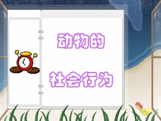 动物的社会行为