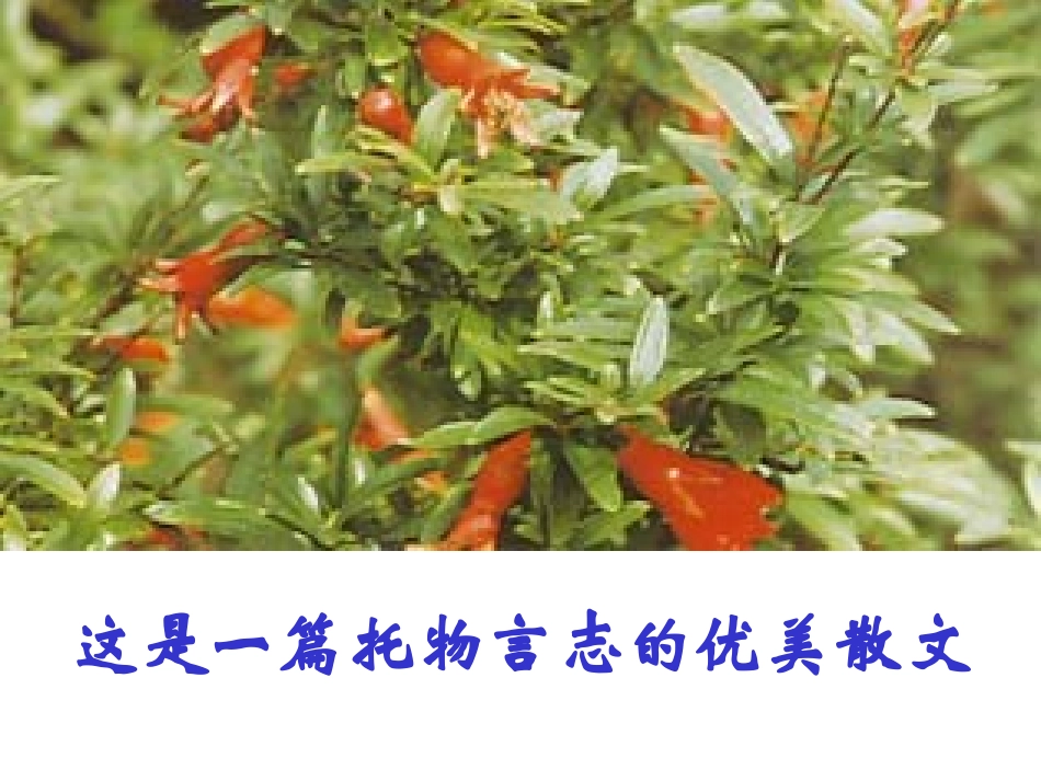 郭沫若《石榴》_第3页