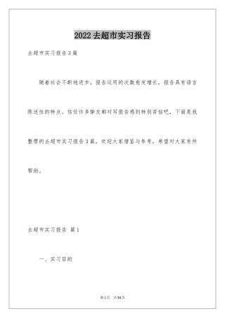 2024去超市实习报告_7