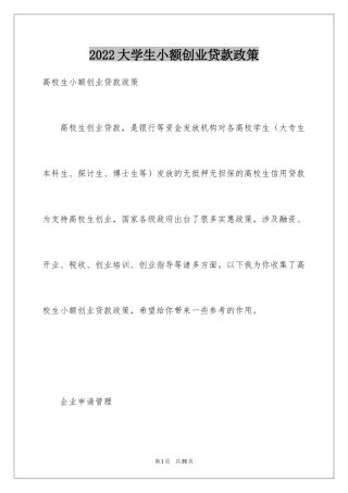 2024大学生小额创业贷款政策